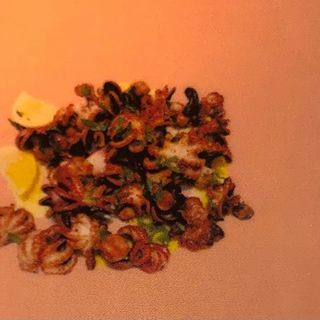 56 Pulpitos a la plancha