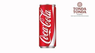 Coca-Cola Lattina 330 ml
