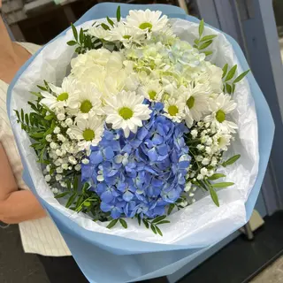 Cielo