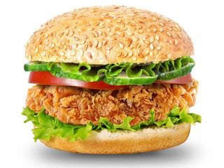 Зингер бургер