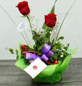 DUO DE ROSAS 300030