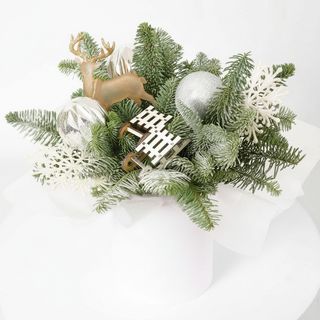 Композиція"Гренландія"