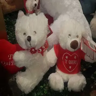 Oso Peluche