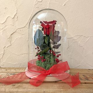 LA CÚPULA del amor eterno