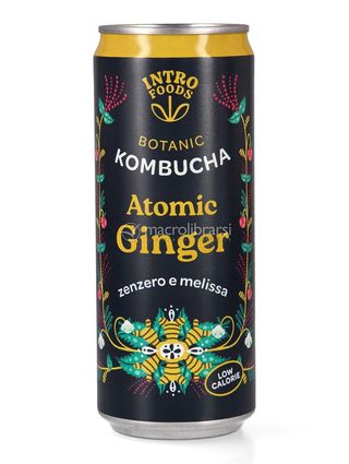 Kombucha zenzero e melissa