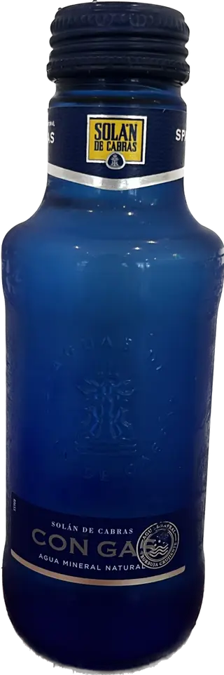 Agua Con Gas (330 Ml.)