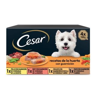 0.6 KG Cesar Recetas de la huerta Tarrina en Paté y Gelatina para Perros - Multipack