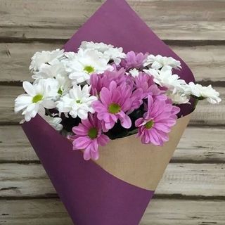 ქრიზანთემები