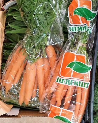 Zanahoria Extra Rama Manojo