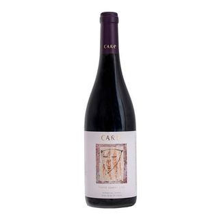 Care Tinto Roble ( 750 Ml.)