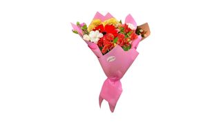 #33 მადლობა დედა