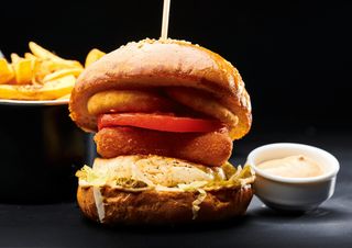 Halloumi Lacto Vegan BS