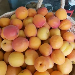 Damasco  Aprox 500g