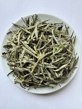 Silver Needle