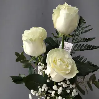 Rosa blanca 3 Unidades