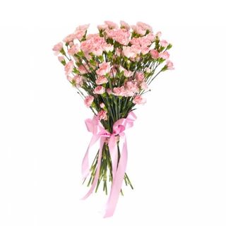 25 jednokolorowych goździków