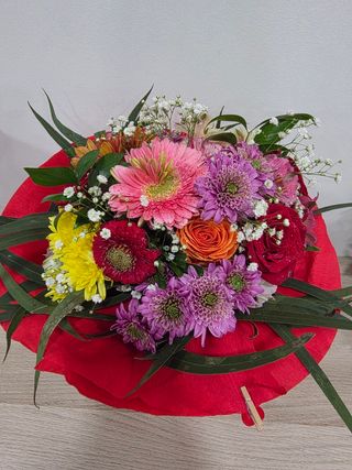 Ramo Campestre Invólucro Vermelho