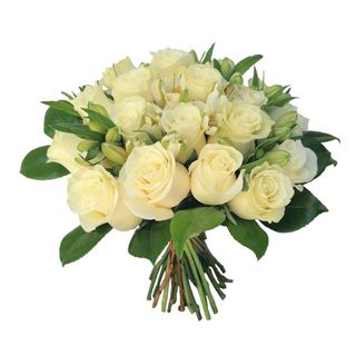 Bouquet Premium de 25 Rosas Brancas