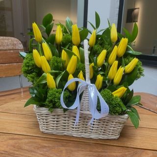 Basket Of Tulips