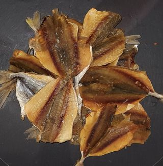 Жовтий смугастик