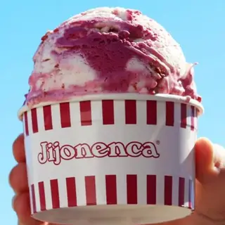 Helado vegano en tarrina pequeña