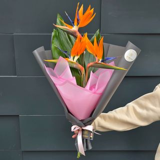 Buchet exotic cu Strelitia 