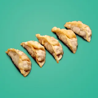Gyozas de Pato (x5)