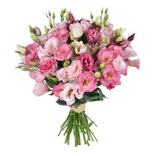 Bouquet Lisianthus  5 tige Pink