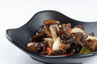 Древесные грибы