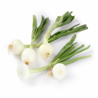 Cebolleta Blanca Manojo 3 Uds.