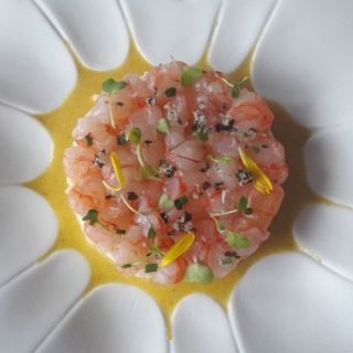 Tartar Gambón Fusión