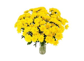 9 Хризантеми, Жълти | 1 pieces