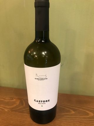 Castore  bianco grande