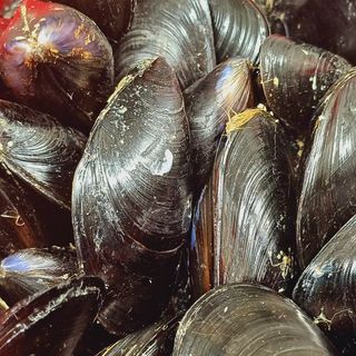 Cozze alla marinara