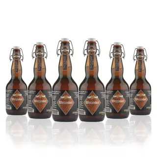 Birra Artigianale tedesca Brunnenbier 50 cl
