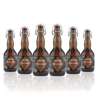 Birra Artigianale tedesca Brunnenbier 50 cl