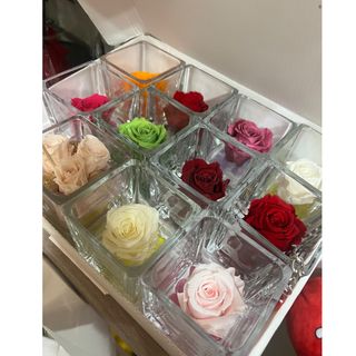 Rosa eterna in vasetto di vetro