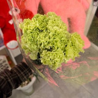 Гвоздика Гоблін