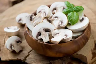 Cogumelos