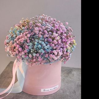 ფერადი გიფსოფილა(Small size)