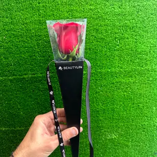 Rose en boîte 