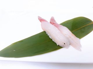 1283-Nigiri orata