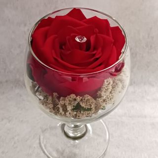 Rosa premium preservada