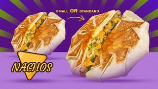 Nachos Vegetarian Wrap-Spicy