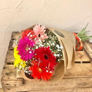 Gerberas colores según existencias