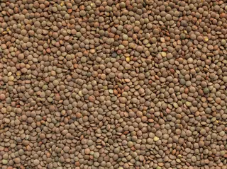 Lenteja Pardina - Precio Por Cada 100G