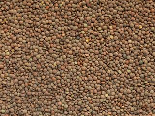 Lenteja Pardina - Precio Por Cada 100G