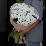 9 гілок хризантеми Kennedy 