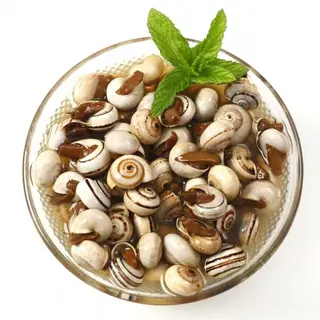 Caracoles Caseros