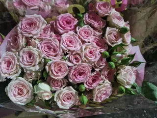 Mazzo di rose rosa ramipicante